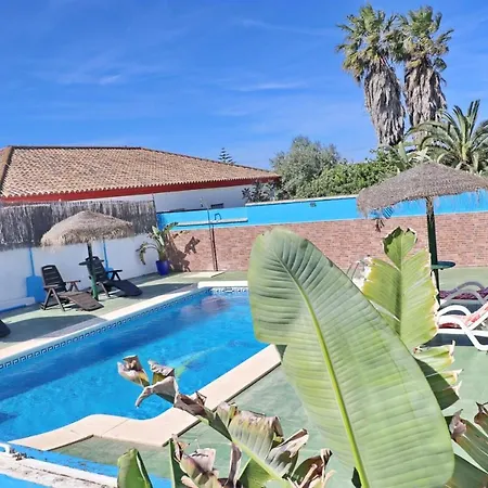 Blue * 콘일데라프론테라